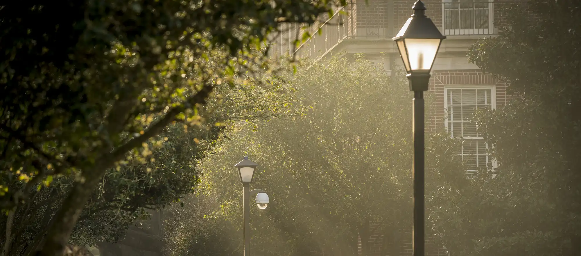 Newcomb Hall at Tulane University School of Liberal Arts