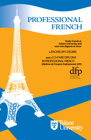 Professional French Brochure Cover