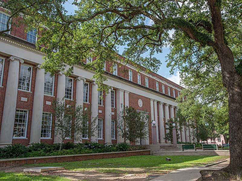 Paula Burch-Celentano, Tulane