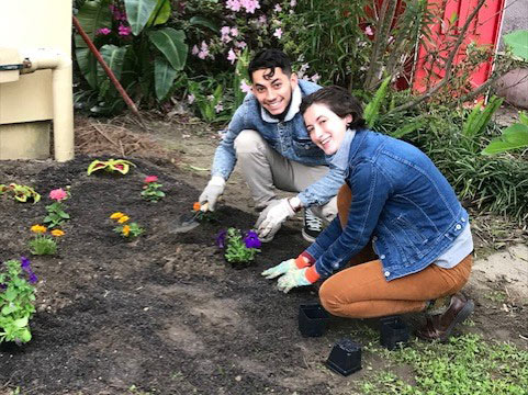 Urban Gardening